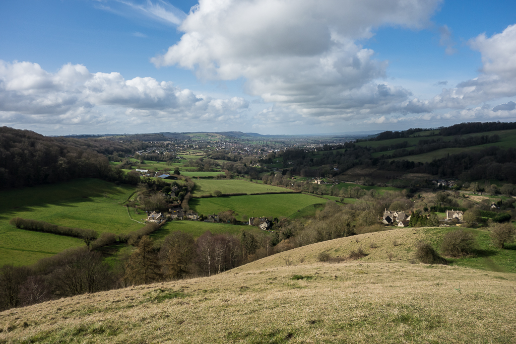 Tree Surgery Stroud